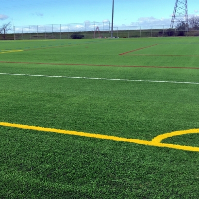 Artificial Turf in Bibo, New Mexico