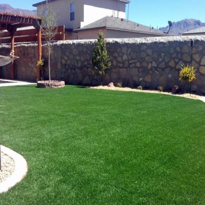 Synthetic Lawns & Putting Greens in Cliff, New Mexico