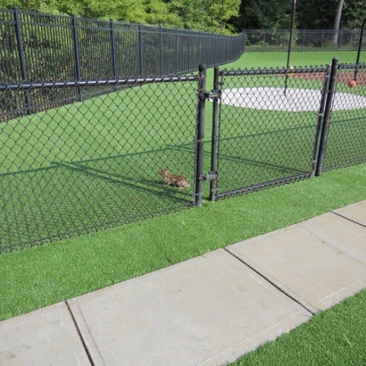 Artificial Grass in Lake Sumner, New Mexico