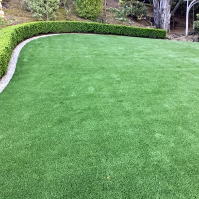 Artificial Turf in Lemitar, New Mexico