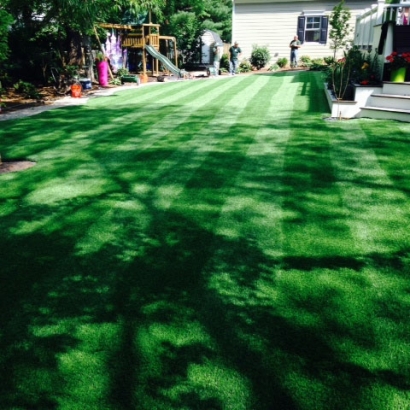 Fake Grass in Alcalde, New Mexico - Better Than Real