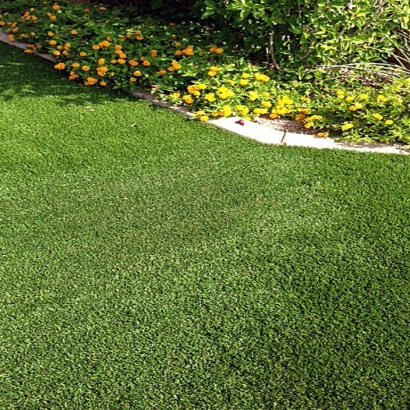Synthetic Turf in Arroyo Seco, New Mexico