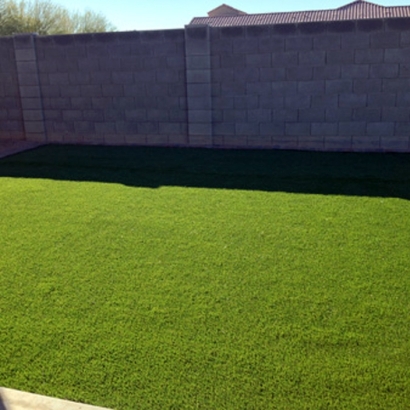 Synthetic Grass in University Park, New Mexico