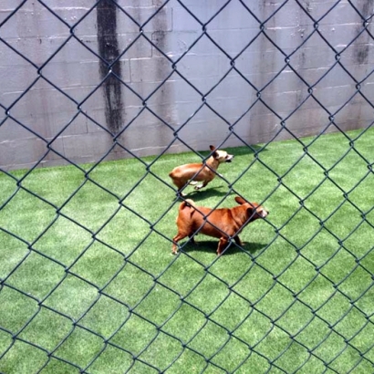 Fake Grass Buckhorn, New Mexico Fake Grass For Dogs