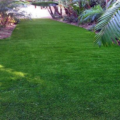 Synthetic Lawns & Putting Greens of North Hurley, New Mexico