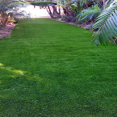 Synthetic Lawns & Putting Greens of North Hurley, New Mexico