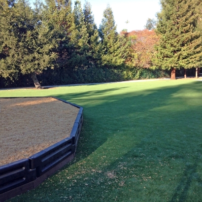 Synthetic Grass in Maxwell, New Mexico