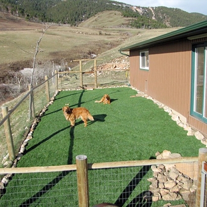 Artificial Grass in Mountainair, New Mexico