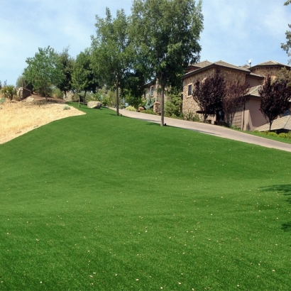 Fake Grass & Putting Greens in Pueblo Pintado, New Mexico