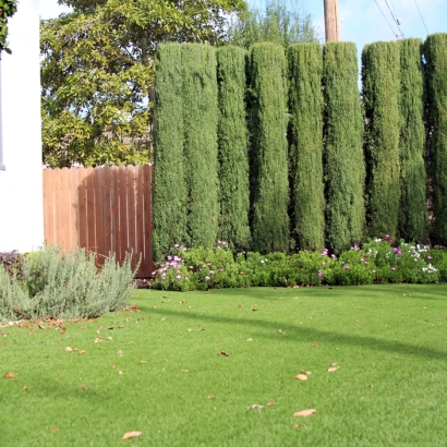 Synthetic Lawns Dona Ana County, New Mexico