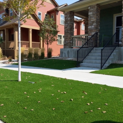 Fake Grass Sedillo, New Mexico Design Ideas, Front Yard Landscaping Ideas