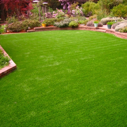Artificial Grass in Torreon, New Mexico
