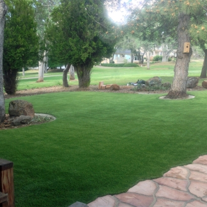 Synthetic Turf: Resources in Taos County, New Mexico