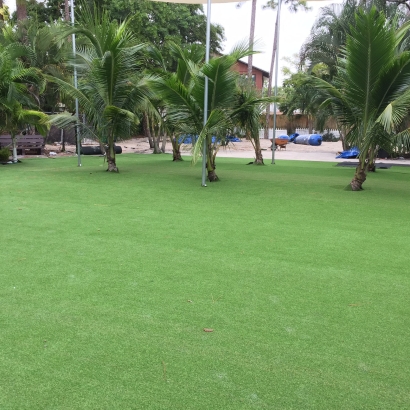 Fake Lawn Chili, New Mexico Rooftop, Commercial Landscape