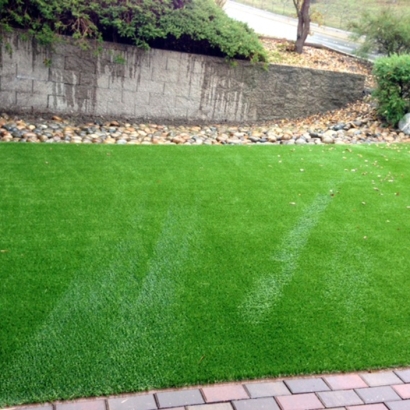 Artificial Turf in Napi Headquarters, New Mexico
