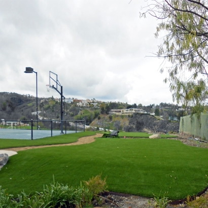 Synthetic Grass in Meadow Lake, New Mexico