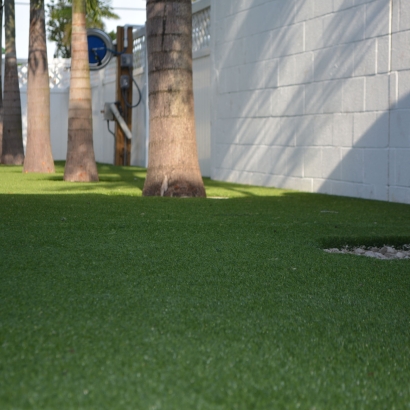 Fake Lawn Sombrillo, New Mexico Paver Patio, Commercial Landscape