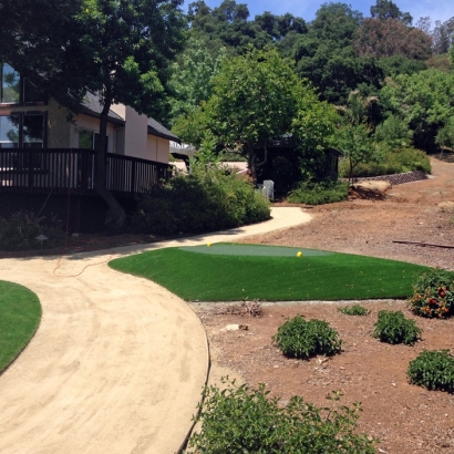 Artificial Grass in Tyrone, New Mexico