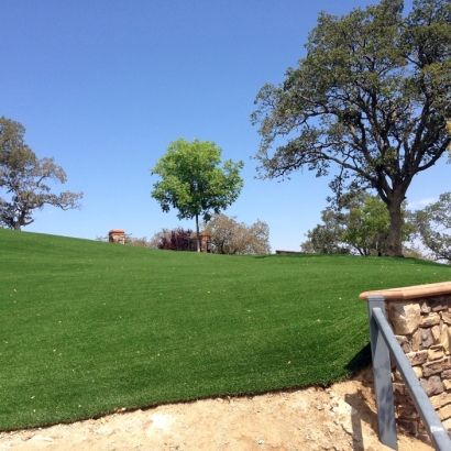 Fake Turf Grass in Velarde, New Mexico