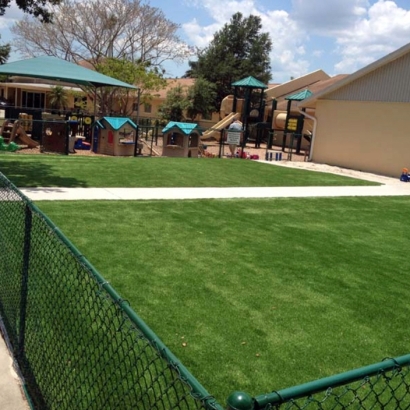 Fake Turf Beclabito, New Mexico Landscape Design, Commercial Landscape