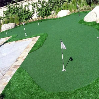 Fake Turf Cliff, New Mexico Office Putting Green, Backyard Designs