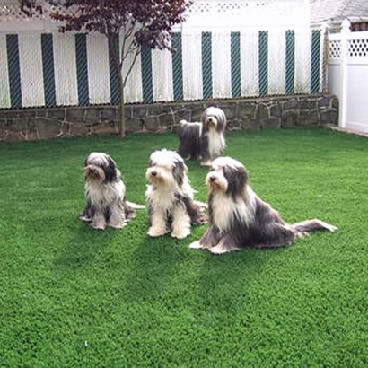 Artificial Grass in El Valle de Arroyo Seco, New Mexico