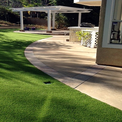 Faux Grass Los Luceros, New Mexico Cat Playground, Front Yard Landscape Ideas