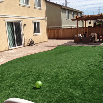 Faux Grass Luis Lopez, New Mexico Garden Ideas, Backyard Design