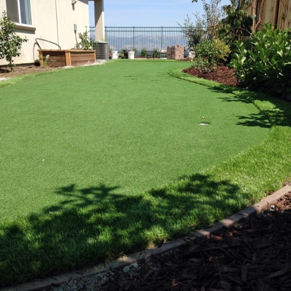 Artificial Turf in Magdalena, New Mexico