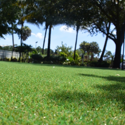 Faux Grass Milan, New Mexico City Landscape, Parks