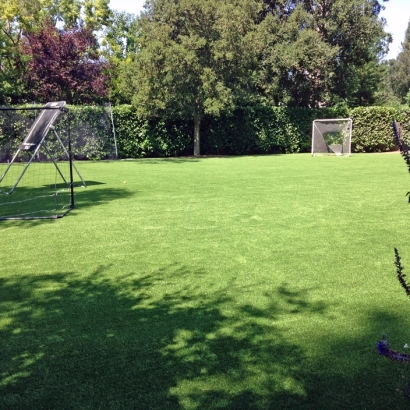 Synthetic Grass in Pinehill, New Mexico