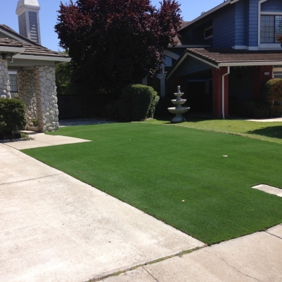 Artificial Grass in Lincoln County, New Mexico