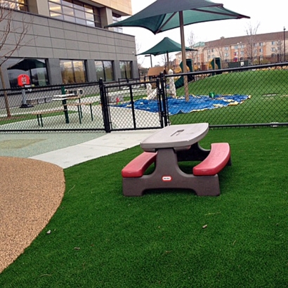 Grass Carpet Upper Fruitland, New Mexico Landscape Ideas, Above Ground Swimming Pool