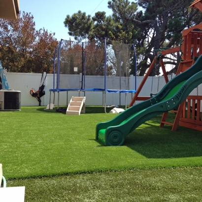 Artificial Grass in Wagon Mound, New Mexico