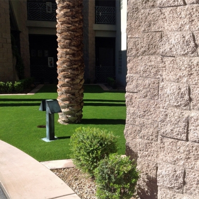 Artificial Turf in Bibo, New Mexico