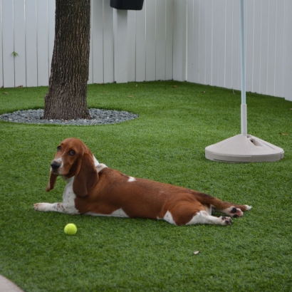 Backyard Putting Greens & Synthetic Lawn in Santa Teresa, New Mexico