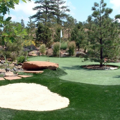 Synthetic Grass in Enchanted Hills, New Mexico