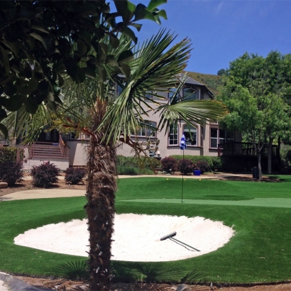 Artificial Grass in McIntosh, New Mexico