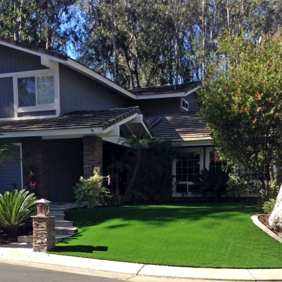 Artificial Grass in Lee Acres, New Mexico