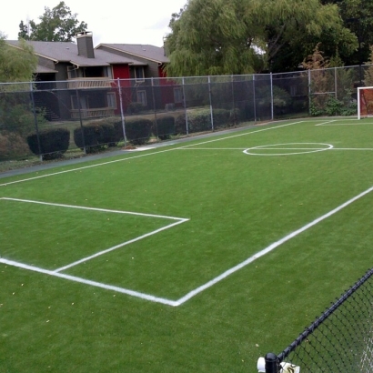 Synthetic Grass in Luis Lopez, New Mexico