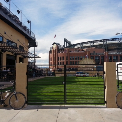 Synthetic Grass in Meadow Lake, New Mexico