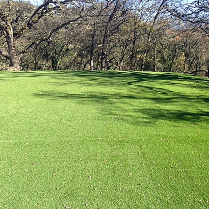 Artificial Turf in Bibo, New Mexico