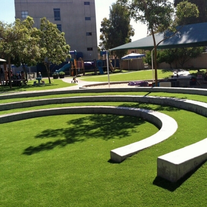 Grass Turf Pena Blanca, New Mexico Lawn And Landscape, Commercial Landscape