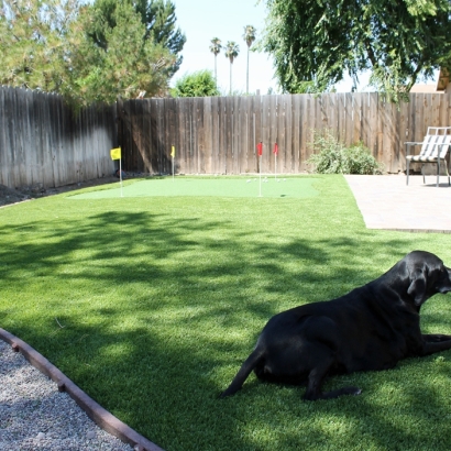 Grass Turf San Acacia, New Mexico Dogs, Dogs