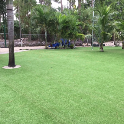 Artificial Grass in Ohkay Owingeh, New Mexico