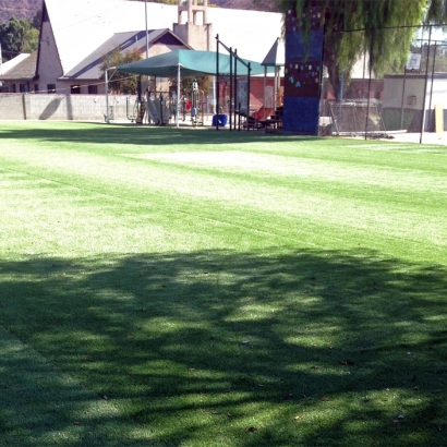 Fake Grass in Ranchos de Taos, New Mexico