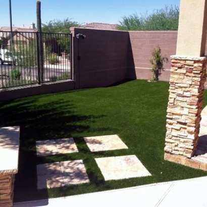 Artificial Turf in Caones, New Mexico