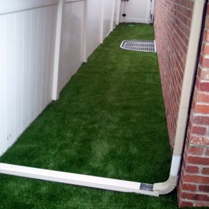 Artificial Turf in Cuartelez, New Mexico