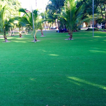 Artificial Grass in La Mesilla, New Mexico