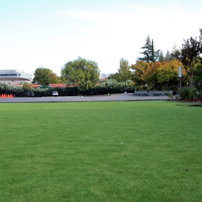 Artificial Turf in Seama, New Mexico